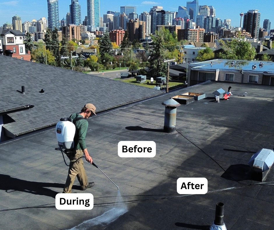 Flat commercial roof being sprayed, with visible before and after contrast on the membrane